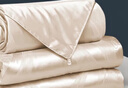 梦洁家纺【团购有礼】100%蚕丝被子芯四季子母被新氧 珠光白 200*230cm 实拍图