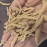 【三伏天滋阴润肺】康美麦冬250g 中药饮片 四川无硫麦冬 养阴生津润肺清心 肺燥干咳阴虚痨咳调理 养生滋补 实拍图