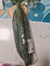 紫溪山嫩黄瓜约550g 实拍图