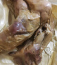画宝刚 道口烧鸡 河南特产美食礼盒礼品850克*2袋 熟食腊味卤鸡扒鸡 实拍图