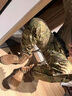 芮猎新式棕色作战靴夏季网面作战靴男高帮真皮沙色战术靴户外训练靴 新式作战靴 42 实拍图