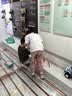 班尼路童装女童裤子2026夏款中大童薄款冰丝休闲长裤儿童夏装速干运动裤 实拍图