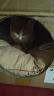 万颐猫粮3斤冻干双拼全价全期成猫幼猫蓝猫鸡肉牛肉通用猫干粮1.5kg 实拍图