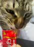 伊纳宝ciao猫零食成猫猫条宠物零食妙好啾噜流质零食布偶猫湿粮鱼条 【预防毛球】金枪鱼味14g*16条 实拍图