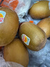 佳沛（zespri）新西兰  阳光金奇异果18粒礼盒优选果单果约101-124g 猕猴桃水果 实拍图