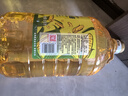 金龙鱼 食用油 非转基因 物理压榨玉米油6.18L（富含植物甾醇） 实拍图