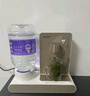 Mandy梦的梦的即热式饮水机  家用小型台式速热饮水机 5L桶装水智能桌面矿泉水办公室饮水器烧开水机 金色-下单赠4.5L储水桶 即热型 实拍图