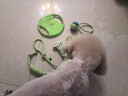 HELLOJOY狗狗玩具 耐咬磨牙棉绳球套装宠物幼犬小狗玩具自己玩解闷9件套 实拍图