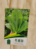 花沃里孔雀菜种子5g/包 蔬菜种子四季绿叶菜籽阳台种植盆栽土庭院田间种 实拍图