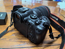 佳能（Canon）EOS R6 Mark II R6二代 新标准全画幅微单相机R62 L级24-105标准镜头套装 实拍图