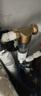 BOSCH博世前置过滤器8吨流量40微米自动反冲洗过滤器家用净水器 高配升级【水驱漩刮反冲洗】 实拍图