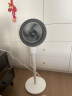 格力（GREE）【香薰满屋】空气循环扇台地两用电风扇落地扇循环左右摇头轻噪对流香薰驱蚊循环扇 FXD-1903g3 实拍图