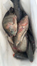 达亿瓦（DAIWA）一击 轻量鲤鱼鲫鱼草鱼罗非 进口鱼竿手杆 轻硬挺 休闲台钓 一击F 39.K（综合） 实拍图