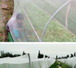 农用防虫网蔬菜大棚果园加厚防虫纱网耐晒养殖场专用防果蝇粉虱 80目【加密厚款】 2x10m 实拍图