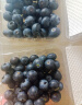 京鲜生 云南蓝莓 2盒18mm+装 125g/盒 生鲜水果 源头直发 包邮 实拍图