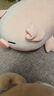 名创优品（MINISO）趴姿系大号趣味狗狗公仔毛绒玩偶玩具抱枕布娃娃生日礼物女卡其色 实拍图