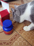 USPET英国狗狗猫咪鲨鱼软骨素片宠物骨骼关节保护修复补钙健骨片200片 实拍图