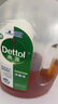 滴露（Dettol）消毒液衣物除菌液洗衣消毒水1.8L杀菌除螨 家居宠物消毒除菌  实拍图