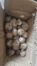 志褚独头蒜大蒜头 2024云南大理紫皮独蒜 精品新鲜现挖湿蒜 2斤装【大果3.0-3.5cm】 实拍图