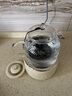World Kitchen康宁养生壶全玻璃恒温壶煮茶壶煮茶器1L办公室家用花茶壶烧水壶电热水壶（升级茶漏款+全玻璃盖） 实拍图