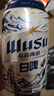 乌苏啤酒天山白啤易拉罐装330ml*2罐装 实拍图