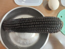 天勤粒粒净有机黑糯玉米8穗*220g（3.5斤）玉米棒低脂玉米真空包装早餐代餐 实拍图