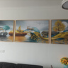 Sixpoetry 客厅装饰画现代简约沙发背景墙壁画轻奢三联晶瓷画大气高档挂画 福禄双收（铝合金外框） 镶钻画左右60*80+中间120*80亮面 实拍图