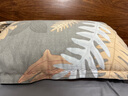 洁丽雅（Grace） 枕头枕芯纯棉一对新疆棉A类全棉纤维枕双人高弹舒适颈椎软枕 A类纯棉朴染 【中枕 一对装】 实拍图