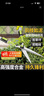 PUANGD普朗德园林剪刀园艺草坪整篱剪伸缩式果树粗支剪手动绿篱修剪工具 实拍图