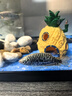 阔庭（KUOTING）鱼缸水族箱生态桌面鱼缸新款懒人鱼缸过滤制氧一体黑色【特大号】 实拍图