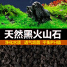 迪普尔火山石鱼缸造景水草泥养鱼龟底砂底部石头火山岩大颗粒底沙过滤材 实拍图