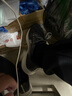 李宁（LI-NING）赤兔8跑步鞋男鞋2025春夏季新款轻量高回弹中考体育竞速运动鞋 净空蓝/极光蓝-15 42 (265mm) 实拍图