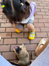 亚禾狗零食磨牙棒礼包中小型犬幼犬小狗骨头柴犬柯基洁齿骨825g*1袋 实拍图