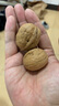 新边界（new boundaries）薄皮核桃1500g 新疆特产阿克苏核桃坚果炒货手剥原味量贩 实拍图