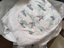 碧芭宝贝盛夏光年拉拉裤XXXL26片(≥18kg)学步裤 夏季超薄 透气不闷热 实拍图
