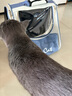 獒少保猫包外出大号猫背包宠物背包太空舱透气便携包双肩包猫咪狗狗用品 双肩背包雾霾蓝色建议15斤以内 实拍图