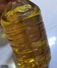 金龙鱼食用油 优选玉米油 5L 实拍图