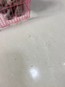 亿之康.追风灭跳蚤专用杀虫粉剂床上驱除跳蚤药宠物狗大面积喷雾虱子清非无毒 1瓶壶+粉杀虫灭卵长期防不伤人宠 实拍图