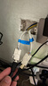 绿联 七类网络模块 CAT7万兆免打带屏蔽模块 RJ45水晶头母座电脑网线插座面板加厚镀金连接头1个装 实拍图