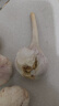 紫白皮蒜水果大蒜超市即食生鲜蔬菜大蒜 干蒜5头 100g 单果3.5-5cm 实拍图