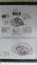 汉王（Hanvon）M10C 智能办公本轻薄彩屏墨水屏电子书阅读器 10.3英寸大屏手写电纸书平板电脑 实拍图