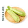 西葫芦约700g 实拍图