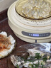 CLARA克拉拉速蒸锅 3秒上汽蒸汽锅电蒸锅 双模式蒸焗加热 360°回流设计康宁餐具琥珀色玻璃电蒸锅 4.5L 标配款 实拍图