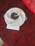 仟居佳 苍蝇神器电动捕蝇器家用苍蝇贴诱捕器灭蝇灯旋转苍蝇抓捕器 推荐：【充电款】捕蝇器+诱饵 实拍图
