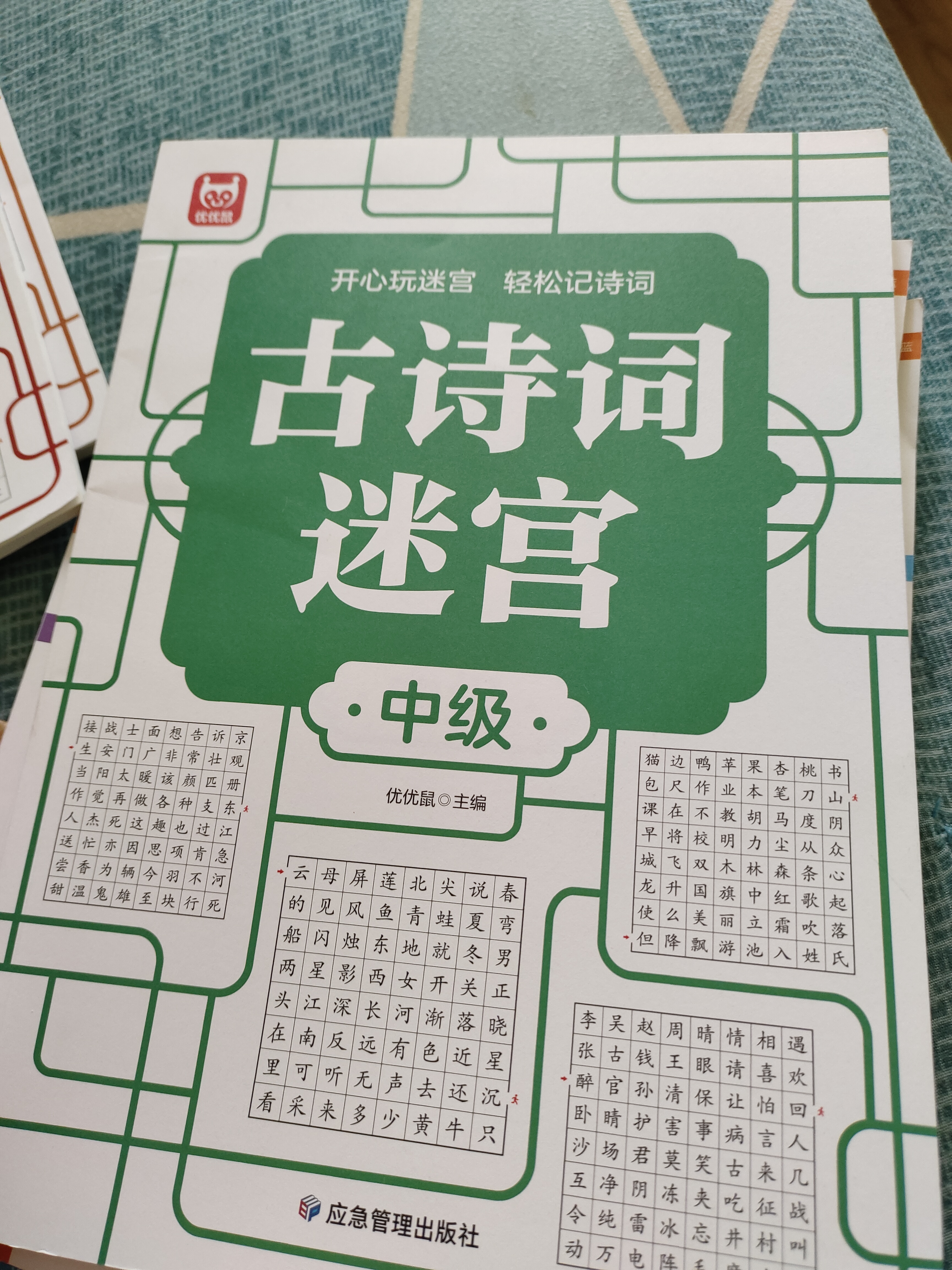 古诗词迷宫中级 开心玩迷宫轻松记诗词 涵盖138首古诗词 边玩边学趣味记忆 为小学语文学习打下基础 强化记忆力培养观察力专注力  实拍图