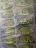 三全儿童水饺 三文鱼荠菜口味300g*2盒84只 果蔬和面速冻饺子儿童早餐 实拍图