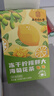 南同四海冻干柠檬胖大海菊花茶枸杞金银花罗汉果清肺润肺养生茶150ml 实拍图
