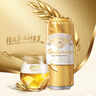 百威金尊啤酒500ml*18听整箱装 单一麦芽10度原麦  实拍图