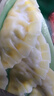 必品阁（bibigo）荠菜猪肉水饺 1200g 约48只 早餐夜宵 生鲜速食饺子 速冻食品 实拍图