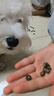 耐吉斯鲜肉Pro夹心狗粮冻干成犬幼犬益生菌鸭肉梨泪痕管理 鲜肉升级1.5kg 实拍图